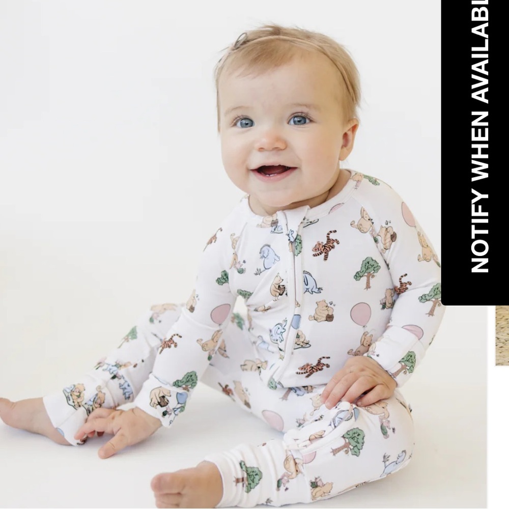 Winnie the Pooh zippy